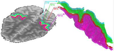 figure4_mhochglanz_weiss.bmp